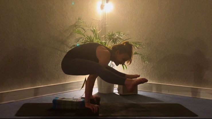 Bhujapidasana titidasana